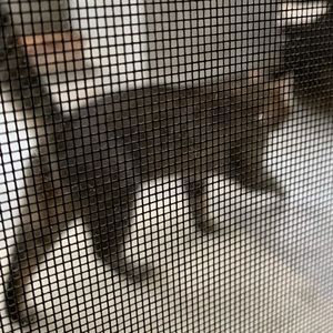 Meet your Posher, Larry